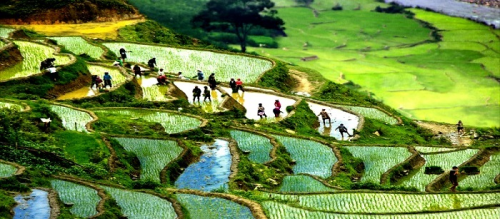 SAPA VIETNAM